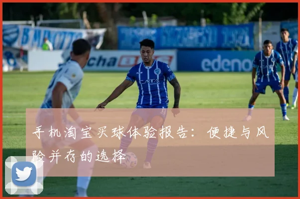 手机淘宝买球体验报告：便捷与风险并存的选择