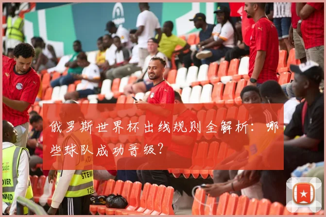 俄罗斯世界杯出线规则全解析：哪些球队成功晋级？