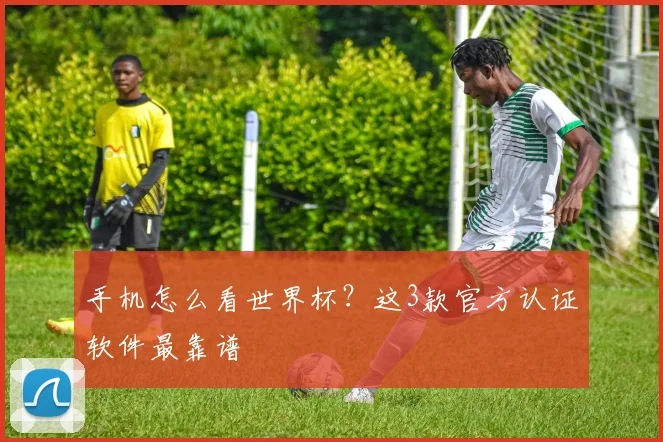 手机怎么看世界杯？这3款官方认证软件最靠谱