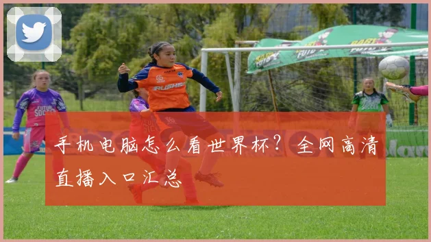 手机电脑怎么看世界杯？全网高清直播入口汇总